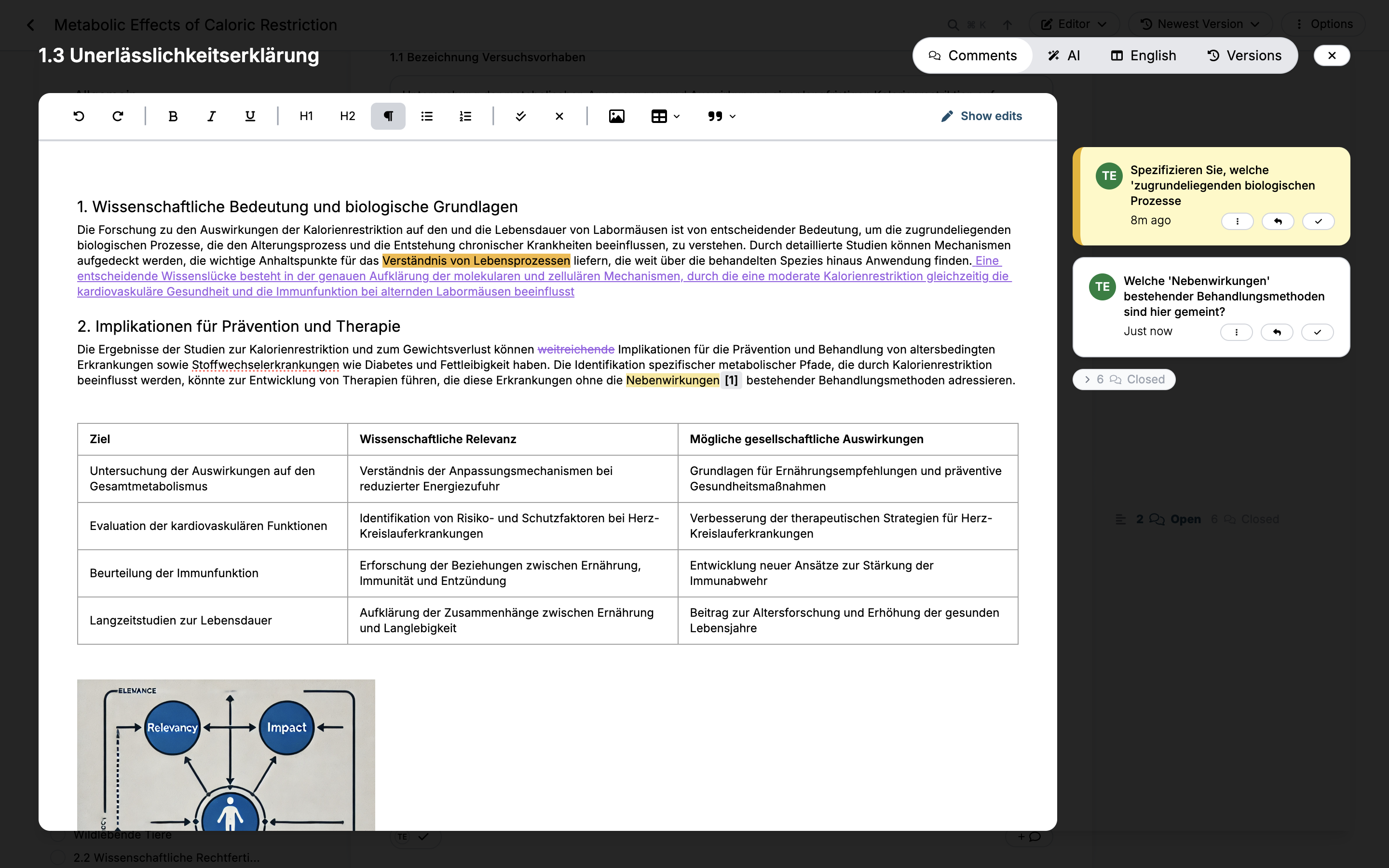 TiVA Kollaborations-Editor